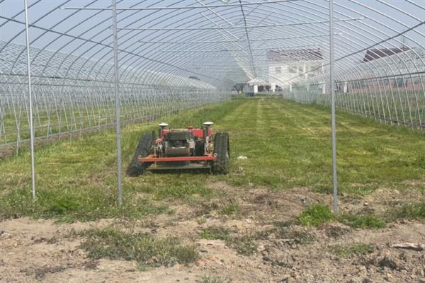 防治地蚕的土办法，施肥时可用充分腐熟的有机肥
