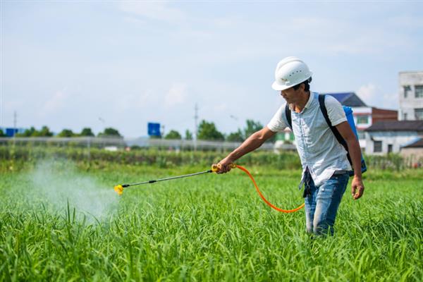 防治地蚕的土办法，施肥时可用充分腐熟的有机肥