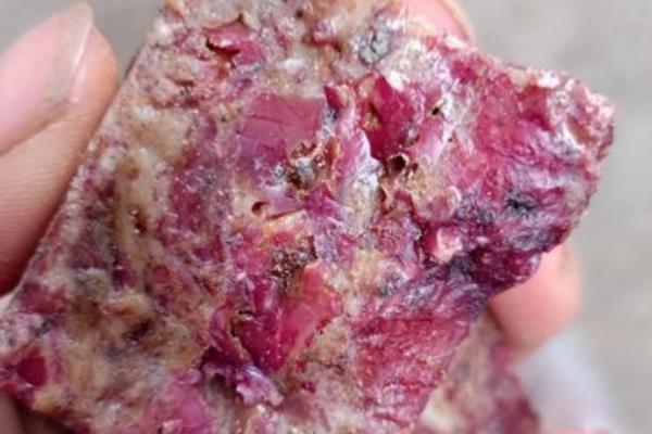 黄鳝笼适合放什么诱饵，以鲜活的小鱼虾、蚯蚓等活饵为宜
