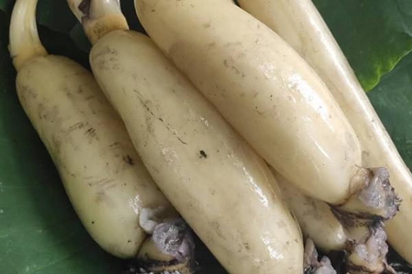 山东桓台县的特产，有马踏湖莲藕、荆家四色韭黄等