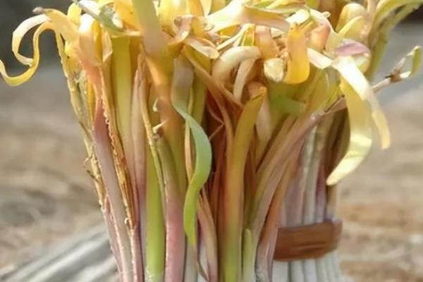山东桓台县的特产，有马踏湖莲藕、荆家四色韭黄等