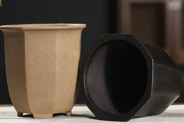 如何才能养好建兰，需要每隔一周浇水1-2次