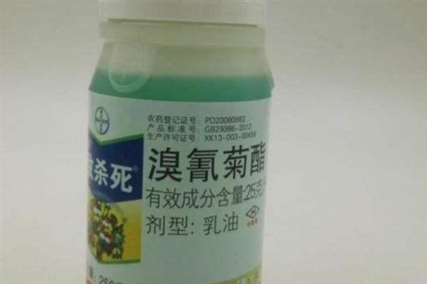 菊酯类杀虫剂可以杀哪些虫，甲氰菊酯可防治咀嚼式和刺吸式口器害虫