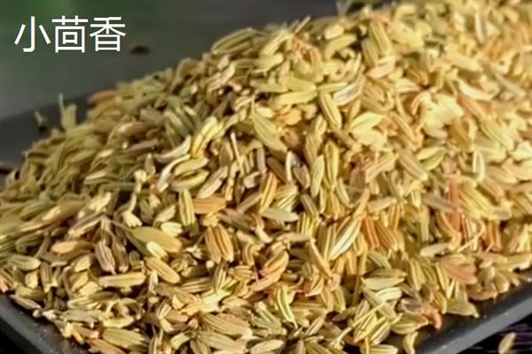 常见的香辛料品种，有八角、丁香、小茴香等