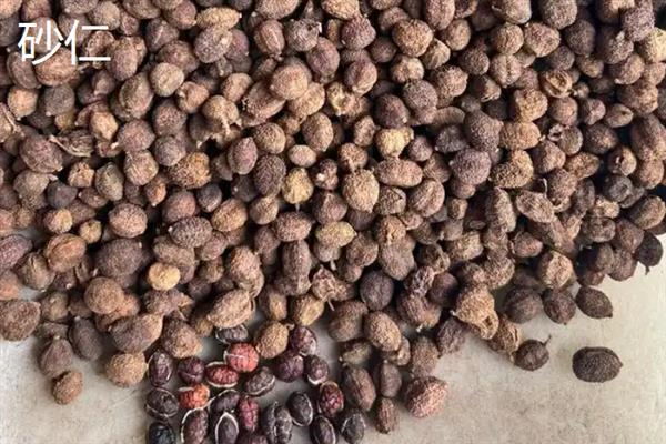 常见的香辛料品种，有八角、丁香、小茴香等