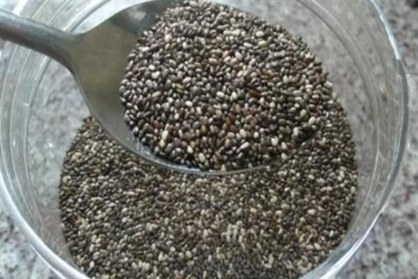 蓝莓的露天种植方法，盆栽养护一定要使用腐殖土