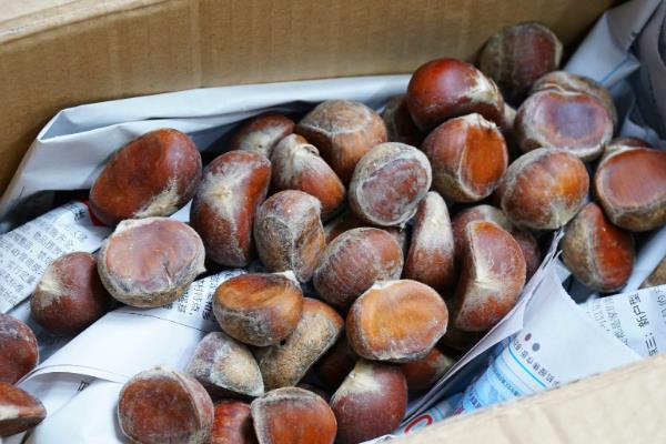新鲜板栗怎么快速去壳，可煮熟或用开水烫
