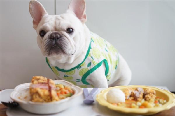 成年法斗犬的标准体重，标准体重是8-12.6kg