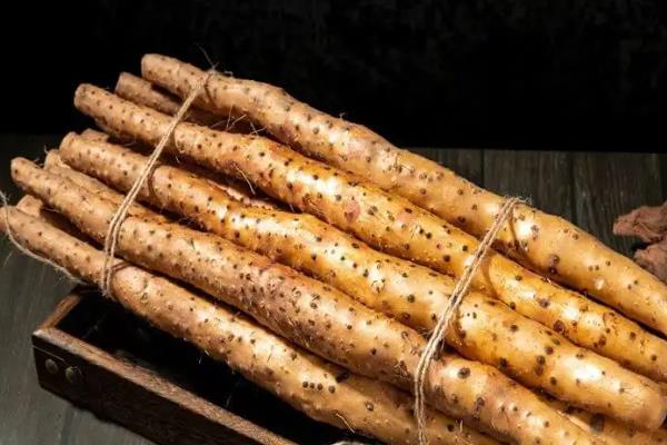 山药什么时候成熟，通常10月左右收获