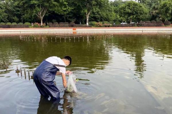 梭子蟹能人工养殖吗，梭子蟹通常可以人工养殖