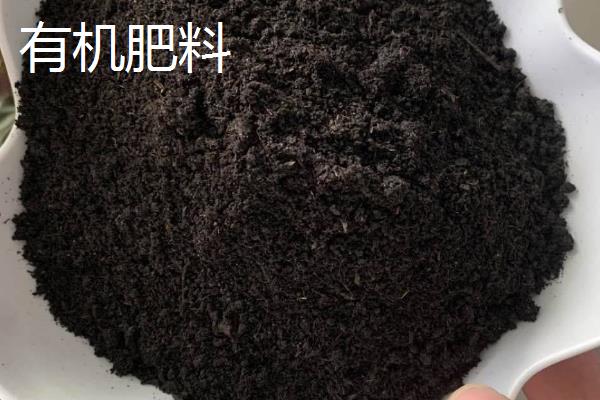 核桃树适合施什么肥，有机肥、无机肥、绿肥都是不错的选择