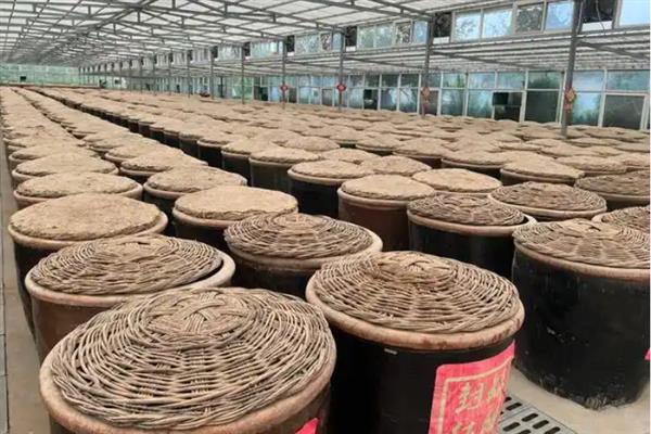 怎么用玉米酿醋，去皮碾碎后装入缸内酿制