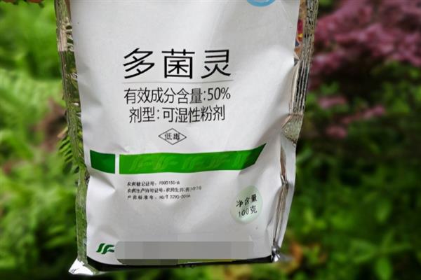根腐病用多菌灵还是恶霉灵好，相对来说后者会更好
