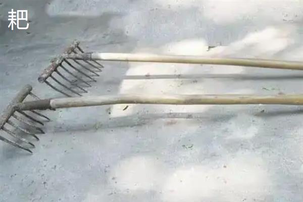 种地的方法，翻耕土壤后再播种