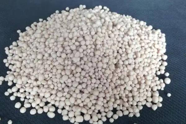 油菜怎样种才能高产，尽量选择在8-9月份种植