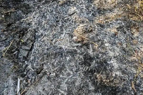 冬季堆肥要注意什么，在肥堆顶部盖土封泥能够保温