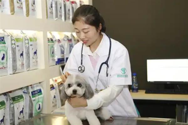 怎样选择靠谱的宠物医院，要看口碑、医生资质、设备等