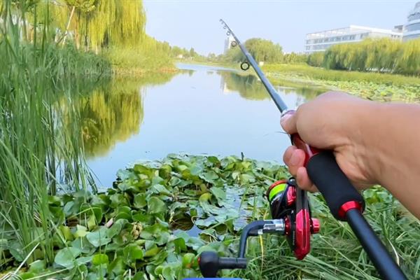 早春钓鲫鱼用什么饵料，可以用自然饵也可以用商品饵
