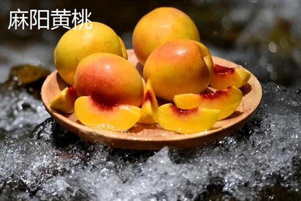 湖南有什么出名的黄桃产区，炎陵黄桃、麻阳黄桃等品种有很高的知名度