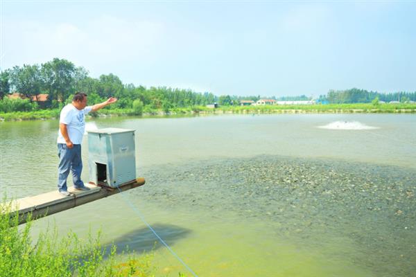 哪些地方产螃蟹，主产于湖北、安徽、江苏等省份