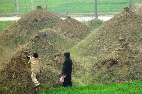 各地的清明节有什么习俗，不同地区的习俗有区别
