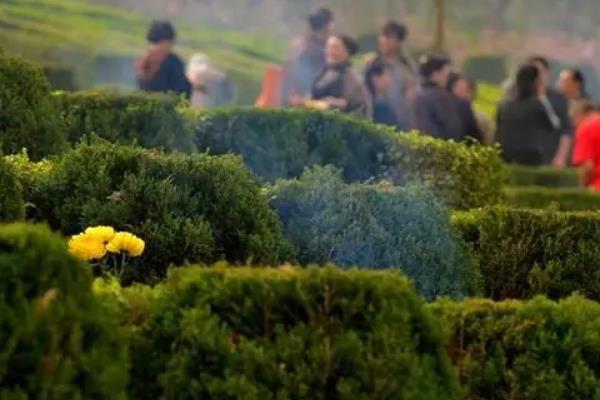 各地的清明节有什么习俗，不同地区的习俗有区别