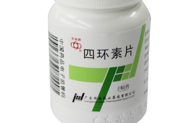 狗狗常见眼睛疾病用什么药，青霉素、氯霉素、四环素等药物可酌情使用