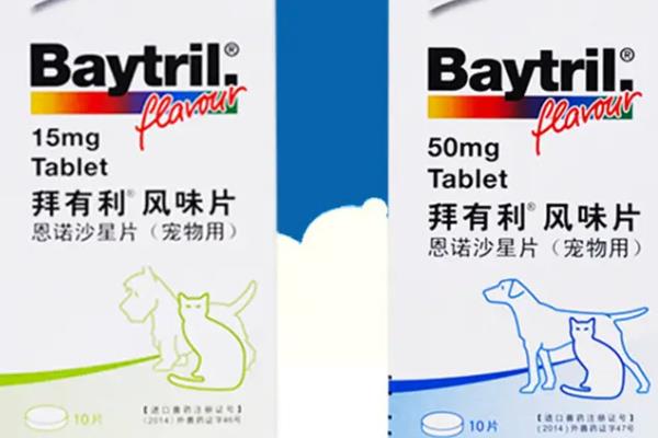 狗狗常见眼睛疾病用什么药，青霉素、氯霉素、四环素等药物可酌情使用