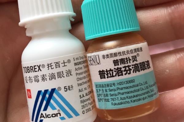 狗狗常见眼睛疾病用什么药，青霉素、氯霉素、四环素等药物可酌情使用