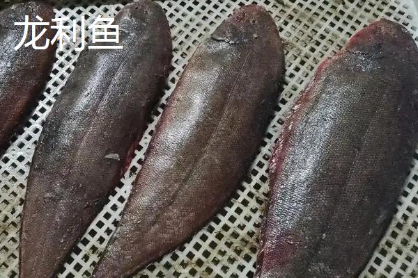 龙利鱼和巴沙鱼的区别是什么，价格和外观均不同