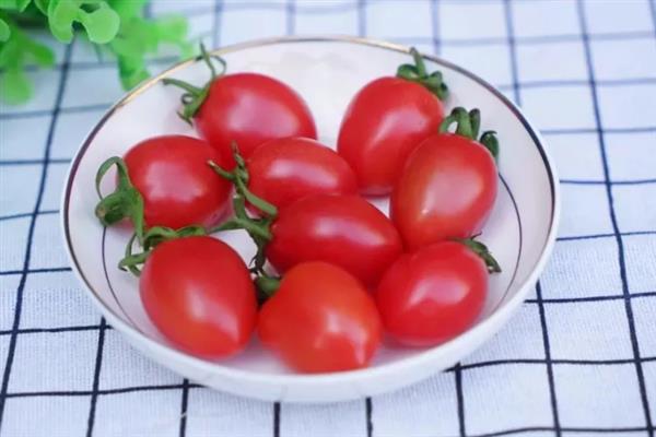圣女果是不是转基因的，圣女果不是转基因食品