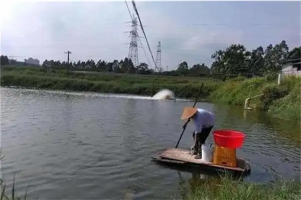 养殖鲟鱼的要求，酸碱值要控制在7.5左右