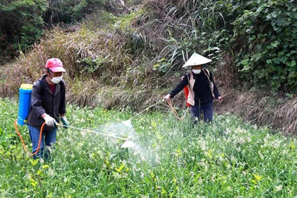 草铵膦可以对哪些作物使用，适用于蔬菜、果园、非耕地等场所