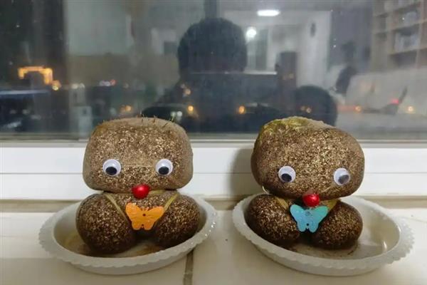 草娃娃的养殖方法，每隔3-5天对土壤喷一次水