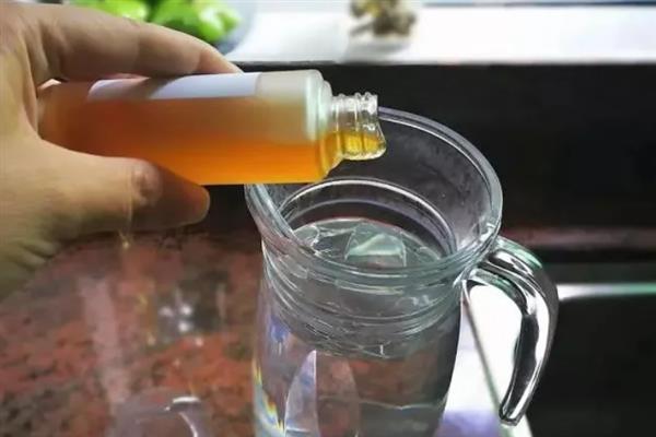 什么花适合用酵素浇，常见的有杜鹃花、秋海棠等