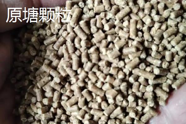 如何使用带皮筋的红虫颗粒饵，用鱼钩挂住皮筋即可抛入水中作钓