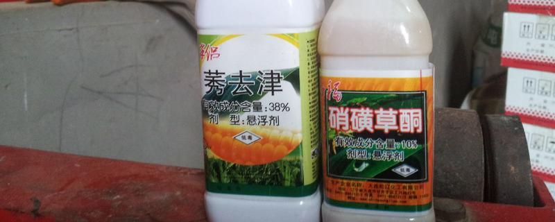 硝磺草酮可以打什么草，可有效防治阔叶草和一些禾本科杂草