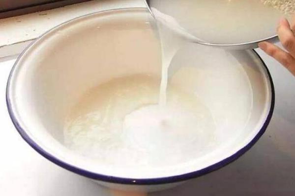 昙花能不能浇淘米水，浇施后能让植株长得更茂盛