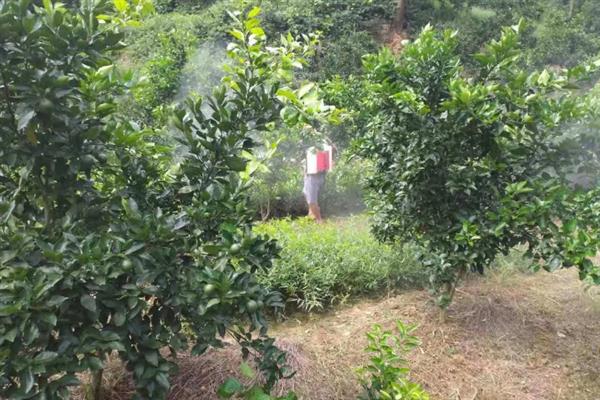 苯肽胺酸怎么使用，根据作物类型决定喷施浓度