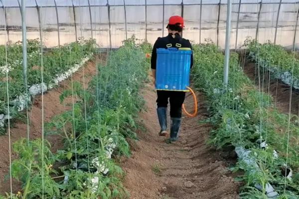 苯肽胺酸怎么使用，根据作物类型决定喷施浓度