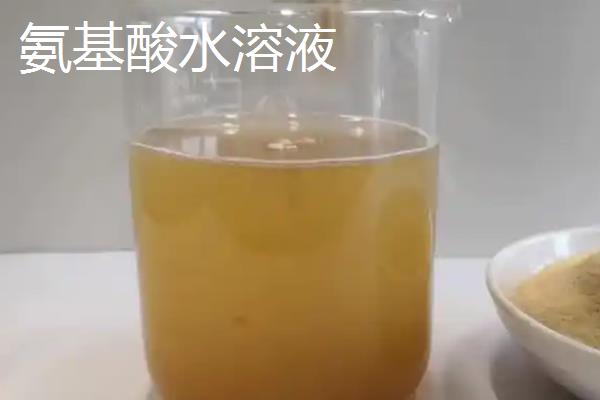 氨基酸原粉和氨基酸水溶液有什么区别,后者是用氨基酸原粉加水调制而成