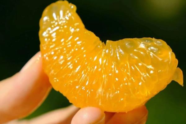 橙子的种植地区，以湖南、甘肃、贵州等省份为主