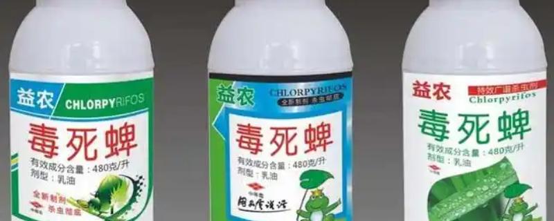 毒死蜱的主要灭杀对象，可防治治蚜虫、棉蚜、蓟马等害虫