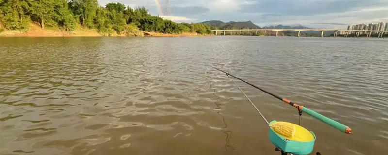 钓青鱼一般抓什么漂相，一般浮漂会下沉1-2目