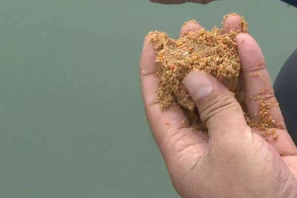 钓鱼何为散炮，是属于饵料的一种