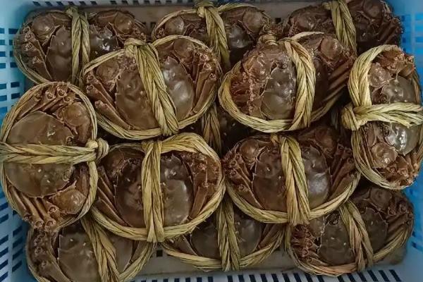 大闸蟹简介，是中国传统的水产珍品