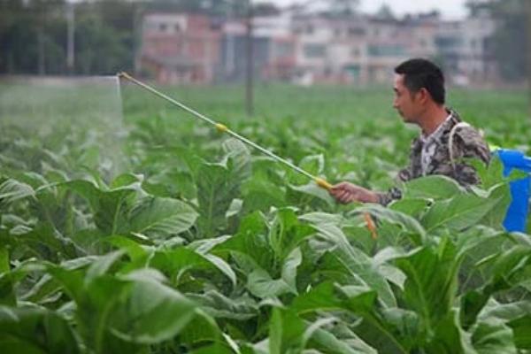来福灵的使用方法，针对不同病虫害的防治方法不同