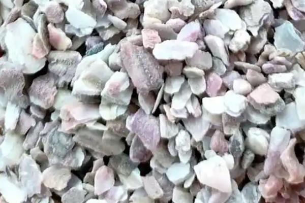 20日龄的小鹅一天的进食量，通常为50-100克左右