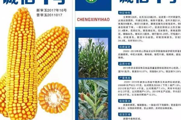 怎么鉴别玉米种子的伪劣，色泽鲜亮、颜色一致的种子才是合格品