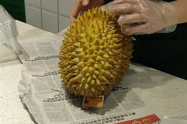 榴莲如何催熟，可以采用包裹催熟法